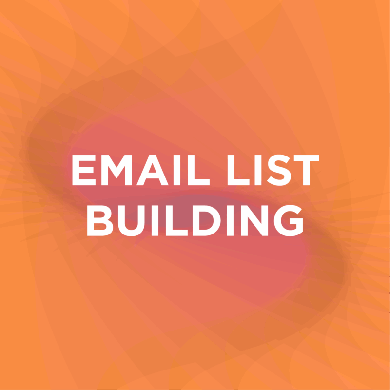 Email List Building