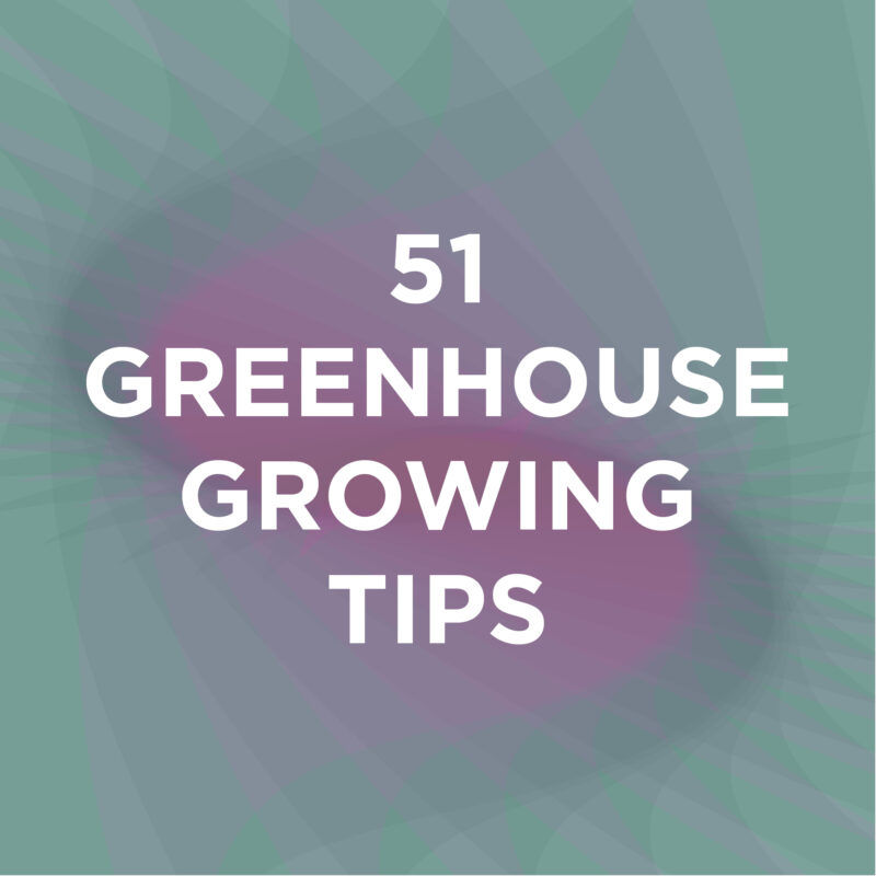 51 Greenhouse Growing Tips